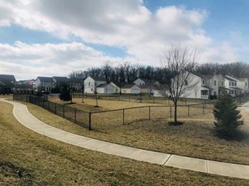 Bark park